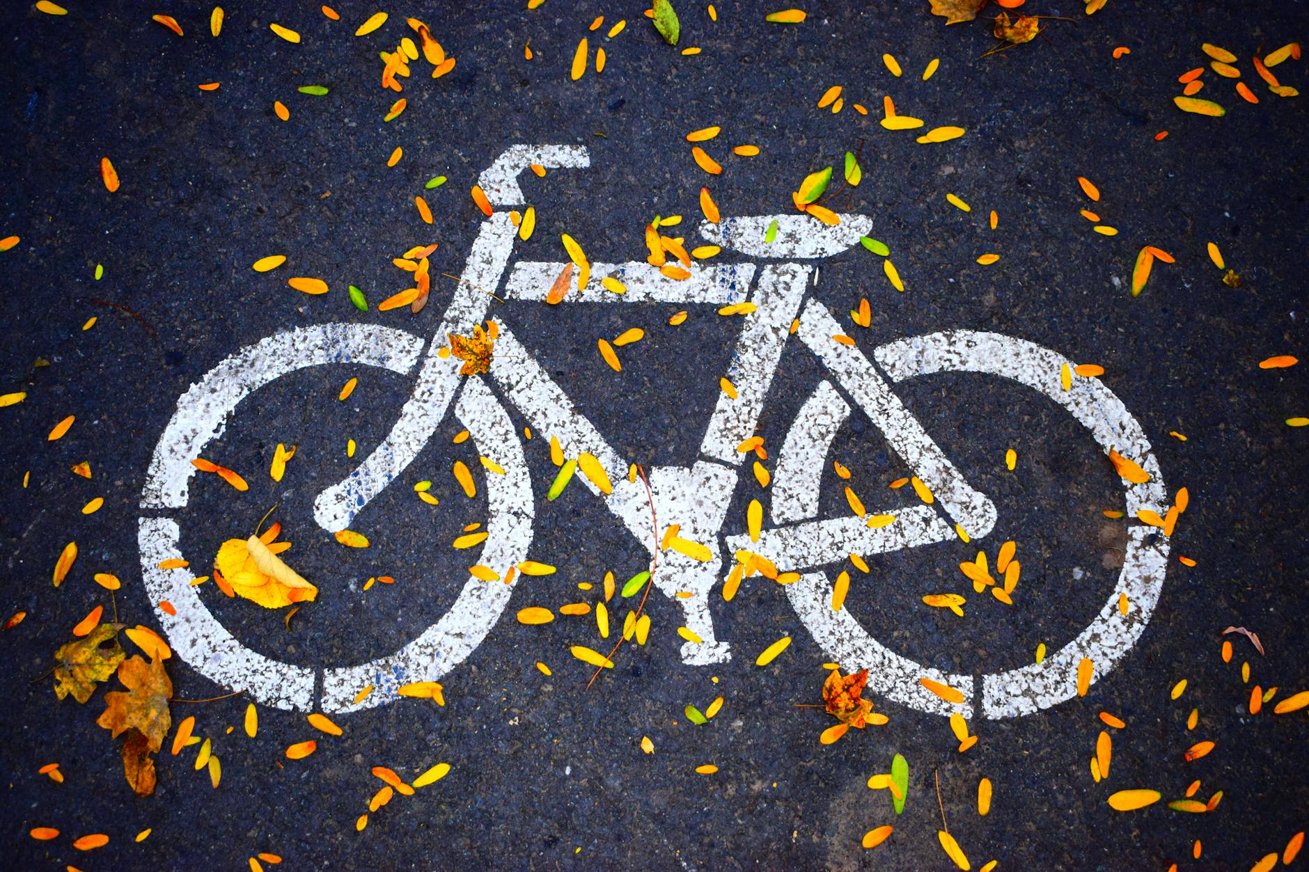 pexels photo 686230 686230 A bicycle lane symbol painted on an asphalt road covered with colorful autumn leaves.